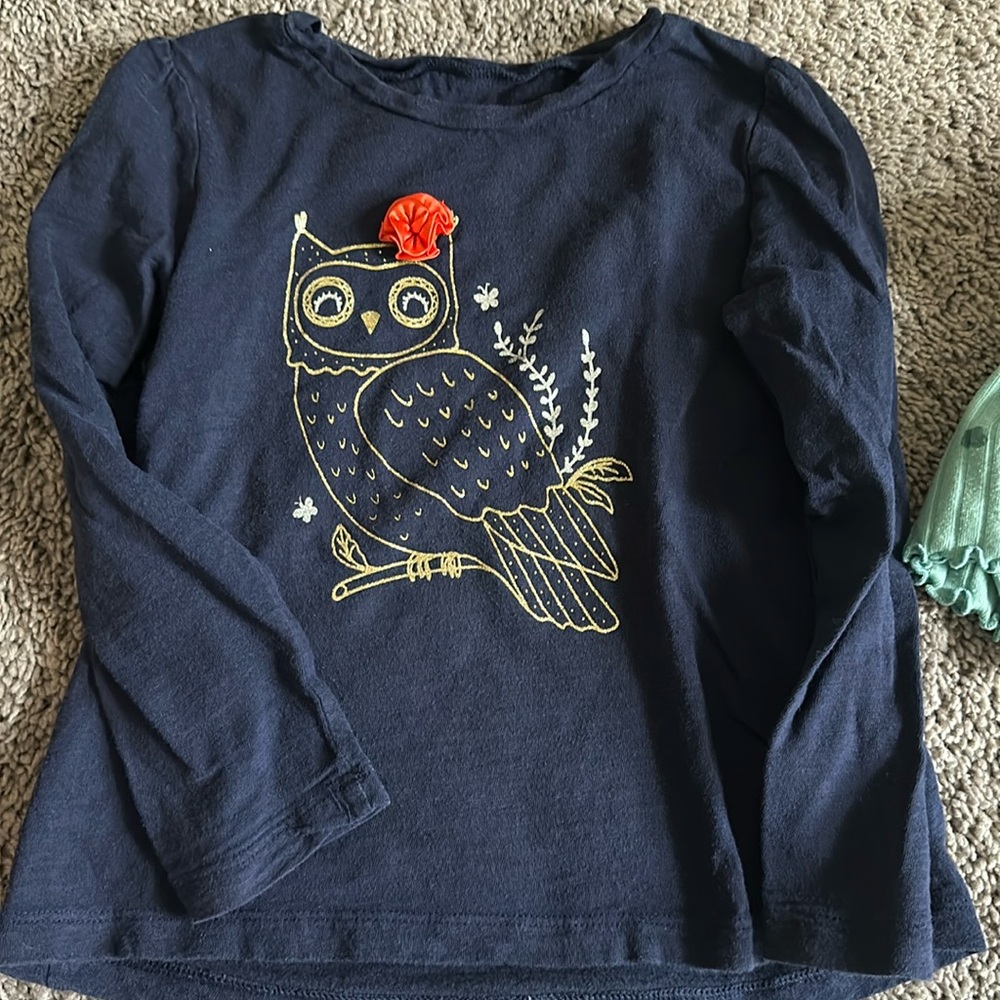 Bundle of 4 girls shirt (5T)